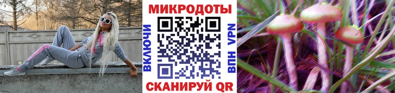 KRAKEN ONION  Каспийск  Псилоцибиновые грибы Psilocybe 